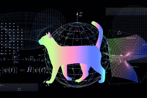 Towards entry "Quantum mechanics: hypercomplex, or “just” complex?"